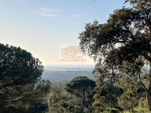 Grândola, Distrito de Setúbalの土地