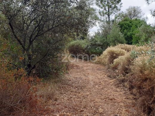 Terreno en Borba, Évora