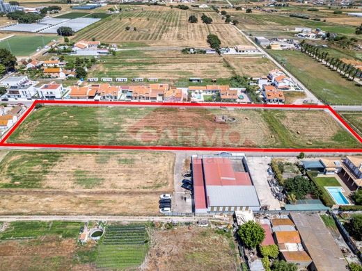 Montijo, Distrito de Setúbalの土地