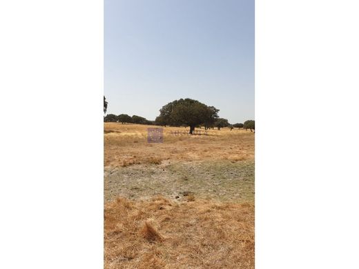 Alcuéscar, カセレスのカントリー風またはファームハウス