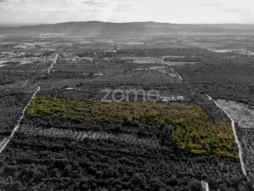 Land in Borba, Distrito de Évora