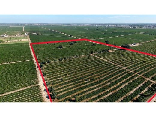 Land in Palmela, Distrito de Setúbal