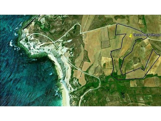 Land in Lourinhã, Lisbon