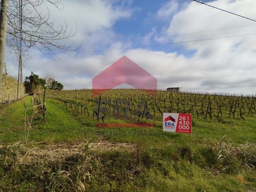 Terreno en Bombarral, Leiria