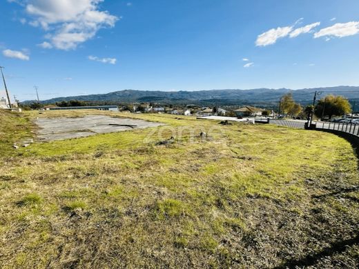 Land in Oliveira de Frades, Distrito de Viseu