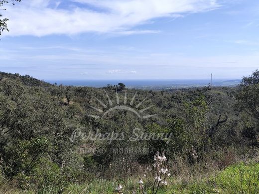 Grundstück in Grândola, Distrito de Setúbal