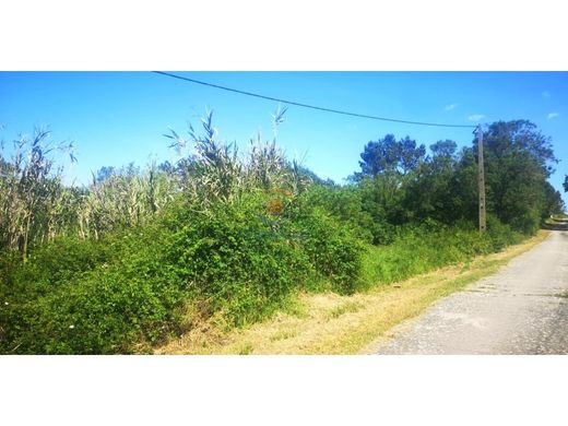 Αγροτεμάχιο σε Mafra, Distrito de Lisboa