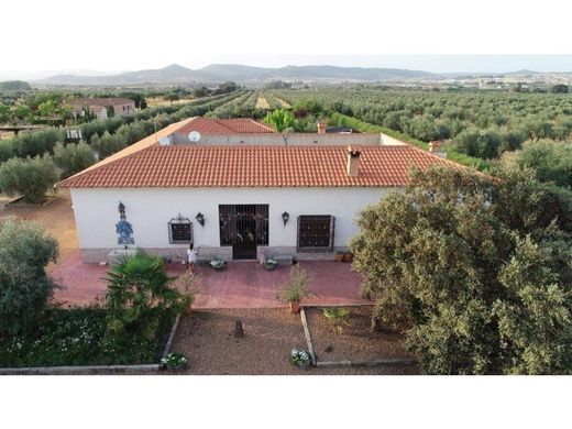 Casa di lusso a Piedrabuena, Provincia de Ciudad Real