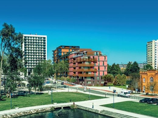 Daire Aveiro, Distrito de Aveiro