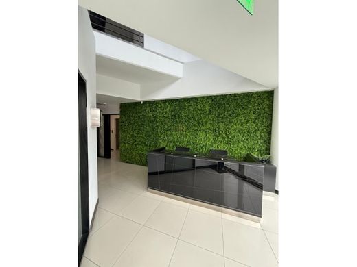 Bureau à Limassol, Limassol District