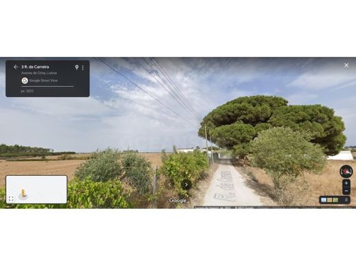 Land in Azambuja, Lisbon