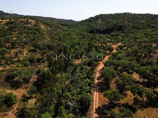 Fattoria a Grândola, Distrito de Setúbal