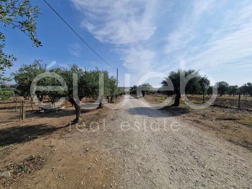 Farma w Reguengos de Monsaraz, Distrito de Évora