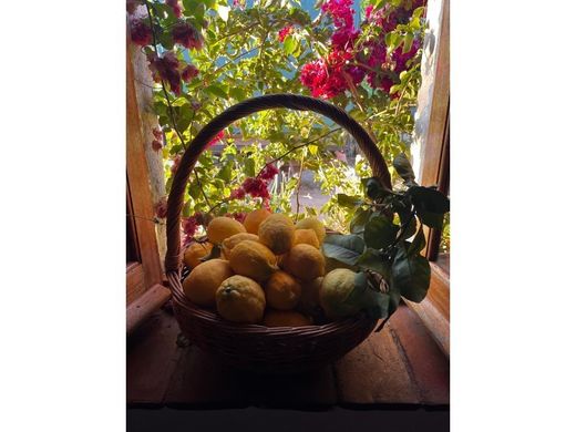 Tavira, Distrito de Faroのカントリー風またはファームハウス