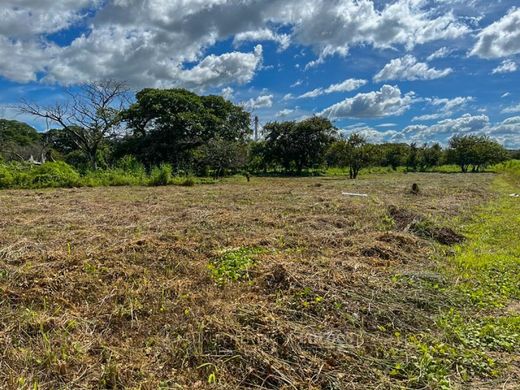 Land in Liberia, Provincia de Guanacaste