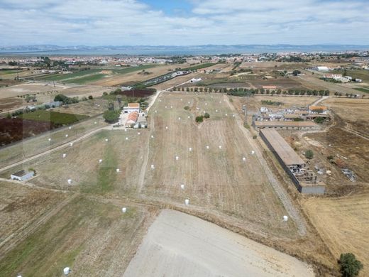 Land in Alcochete, Distrito de Setúbal