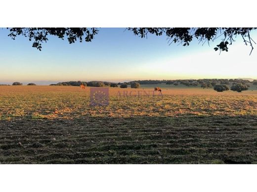 Boerderij in Trujillo, Provincia de Cáceres