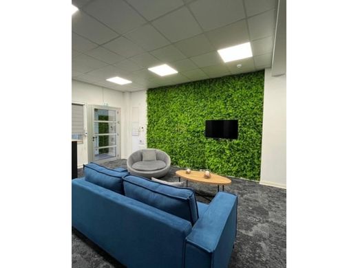 Office in Limassol, Limassol District
