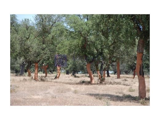 Casa rural / Casa de pueblo en Badajoz, Extremadura