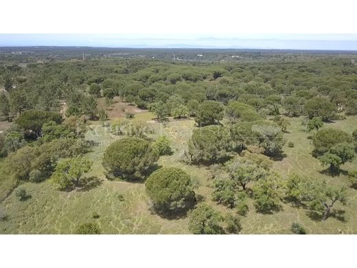 Αγροτεμάχιο σε Grândola, Distrito de Setúbal