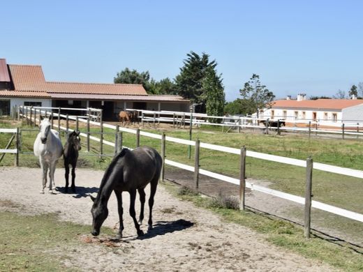 Odemira, Distrito de Bejaのカントリー風またはファームハウス
