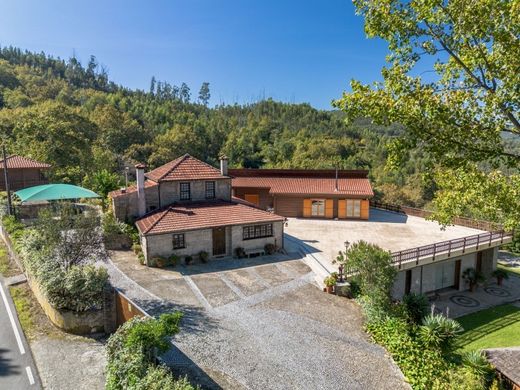 Casa di lusso a Oliveira de Frades, Distrito de Viseu