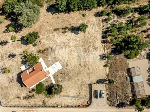 Land in Comporta, Alcácer do Sal
