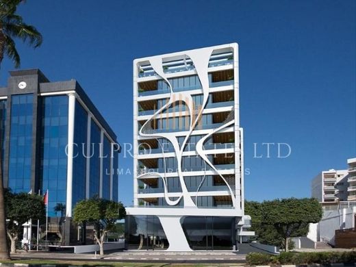 Limassol, Limassol Districtのオフィス