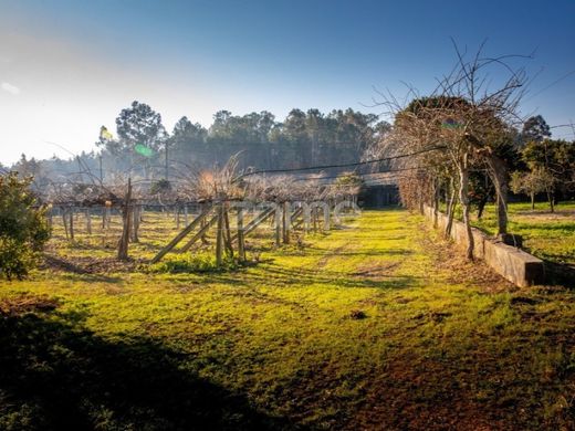 Luxury home in Águeda, Aveiro