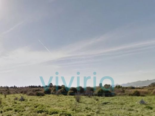Arsa Burriana, Província de Castelló