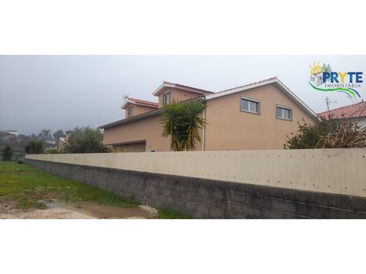 Luxury home in Figueiró dos Vinhos, Figueiró Dos Vinhos