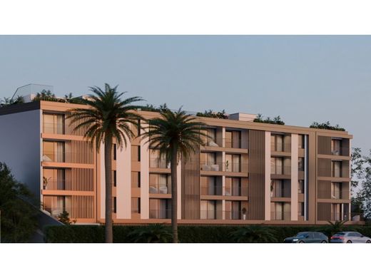 Apartment in Câmara de Lobos, Madeira