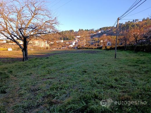 Grond in Lamego, Distrito de Viseu