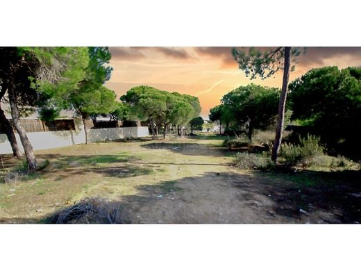 Teren w Loulé, Distrito de Faro