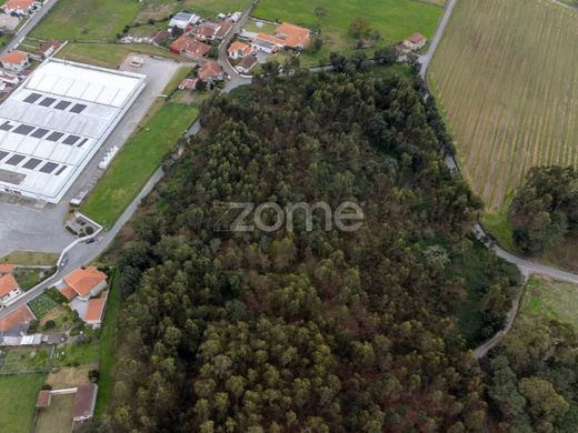 Teren w Santo Tirso, Distrito do Porto