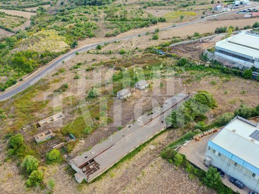 Land in Mafra, Lisbon