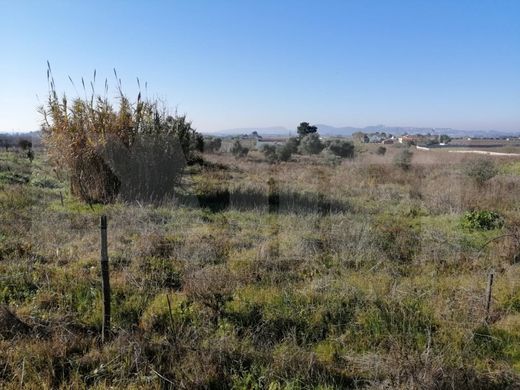 Αγροτεμάχιο σε Palmela, Distrito de Setúbal