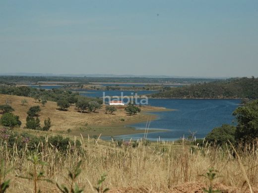 Santiago do Cacém, Distrito de Setúbalの農園