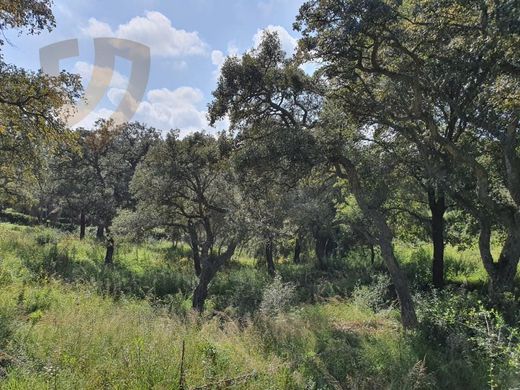 Grond in Sotogrande, Provincia de Cádiz