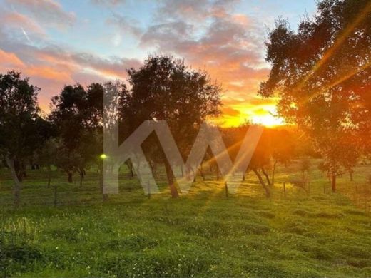 Αγροτεμάχιο σε Santiago do Cacém, Distrito de Setúbal