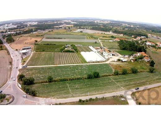 Αγροτεμάχιο σε Caldas da Rainha, Distrito de Leiria