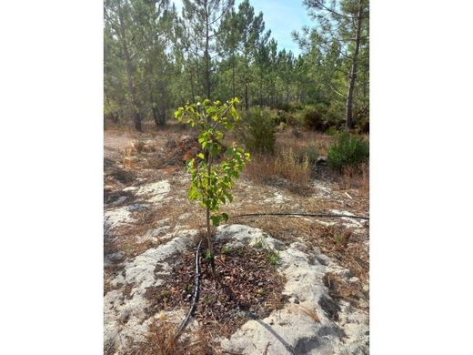 Land in Alcácer do Sal, Distrito de Setúbal