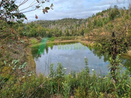 Участок, Silves, Distrito de Faro