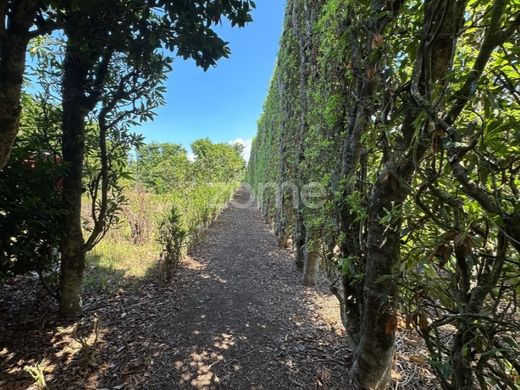 منزل ﻓﻲ Ribeira Grande, Azores