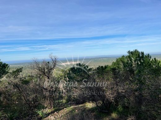 Terreno a Grândola, Distrito de Setúbal