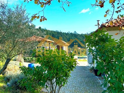 Luxury home in Baião, Distrito do Porto