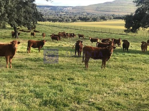 Rural ou fazenda - Plasencia, Provincia de Cáceres