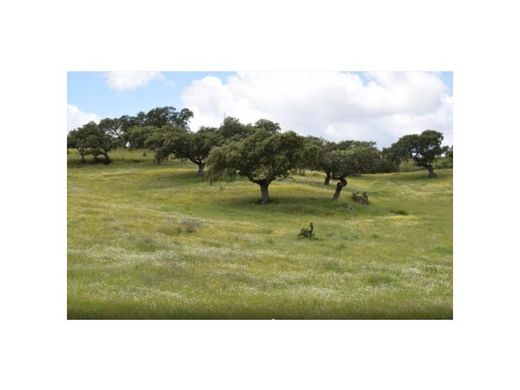 Farm in Portel, Distrito de Évora