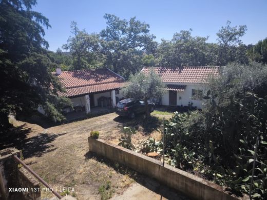 Ferme à Fundão, Distrito de Castelo Branco