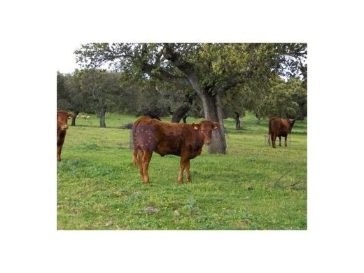 Villa in Trujillo, Provincia de Cáceres